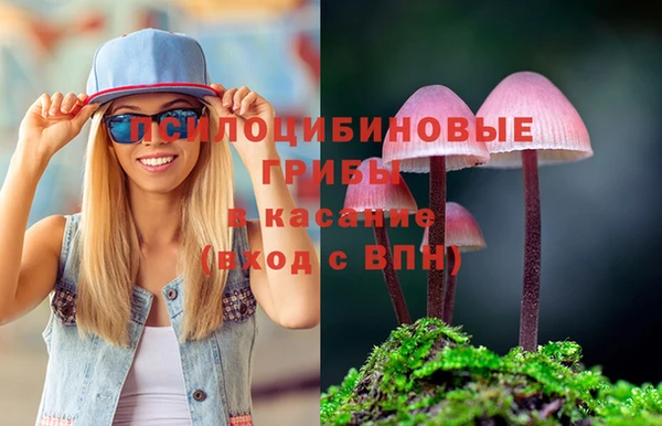 прущие крисы Алексин