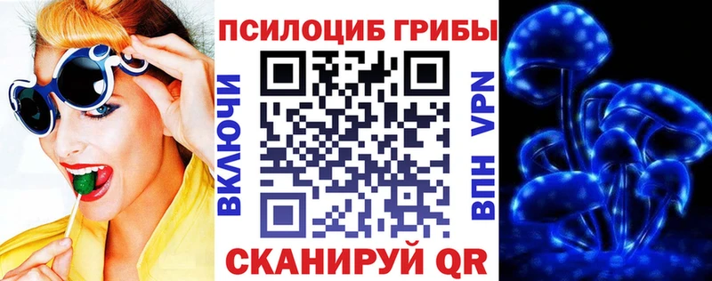 Псилоцибиновые грибы Cubensis  как найти закладки  Новоуральск 