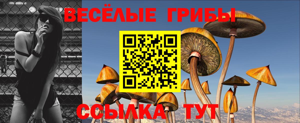 Псилоцибиновые грибы ЛСД Новоуральск