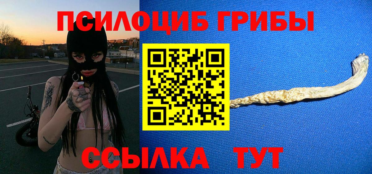 Новоуральск  Галлюциногенные грибы Cubensis  Вход с VPN 